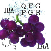 Reguladores del crecimiento vegetal Promotores del crecimiento Ácido 3-indolbutírico (IBA)